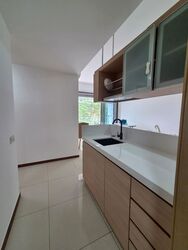 Parc Vera (D19), Condominium #622608161